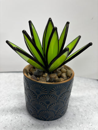 Stained Glass Succulent Class